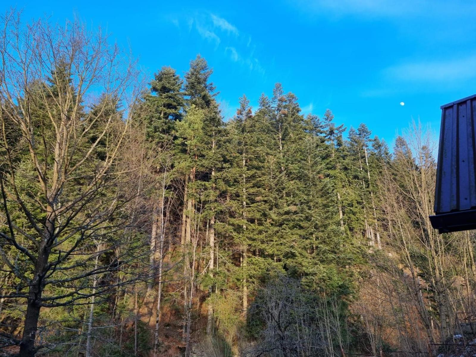 Agroturystyka Oblica Zawoja Exterior foto