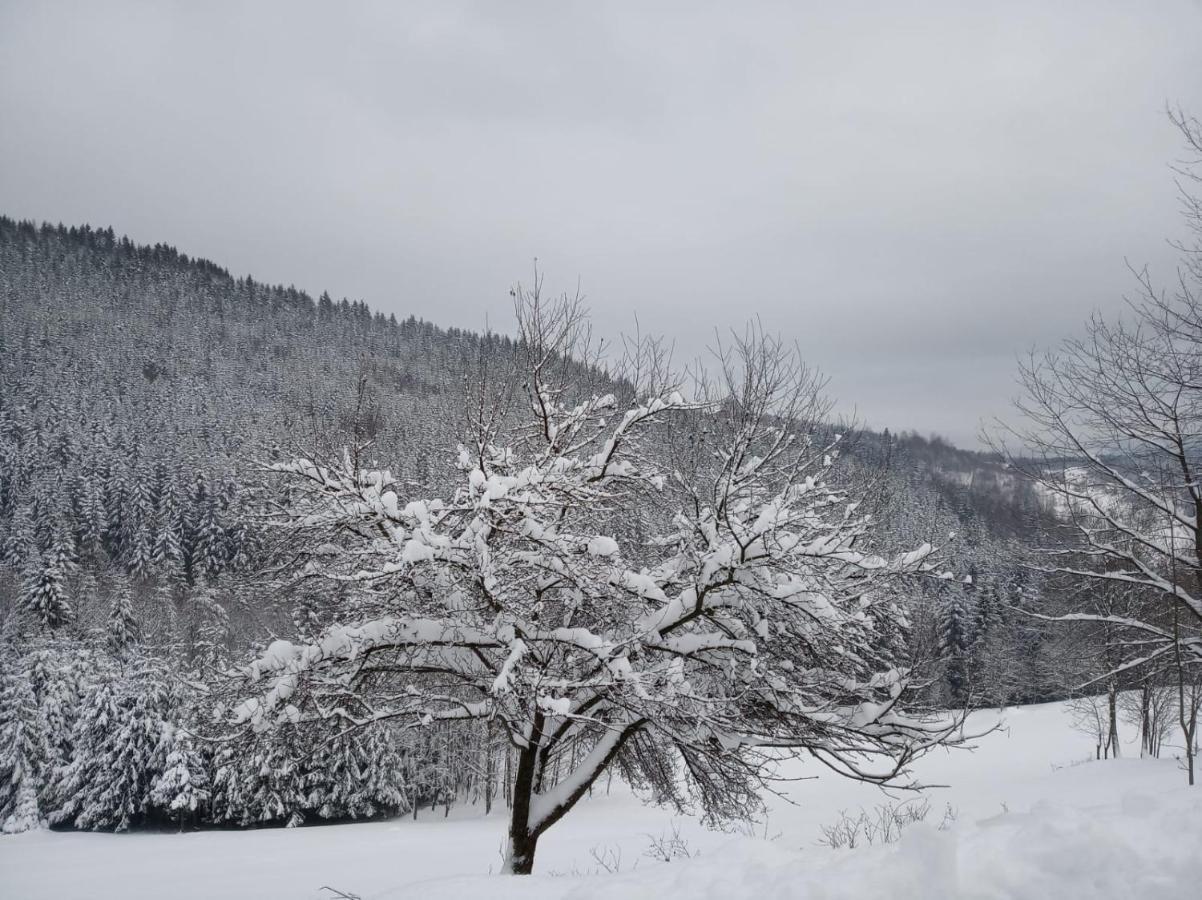 Agroturystyka Oblica Zawoja Exterior foto
